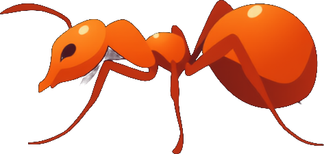 Ants illustration