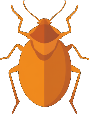 Bed Bugs illustration