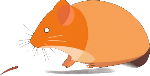 Rodents illustration