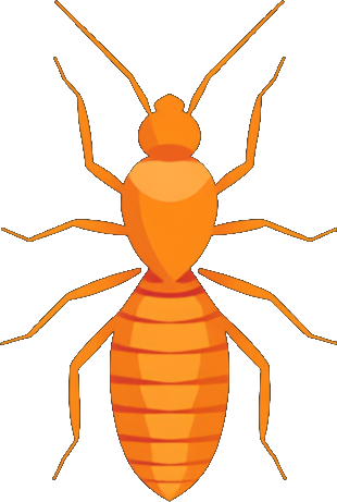 Termites illustration